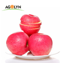 Good quality Delicious Red Qinguan fresh apple